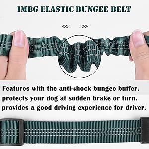 dog seat belt for car