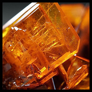 AMBER EXTRACT