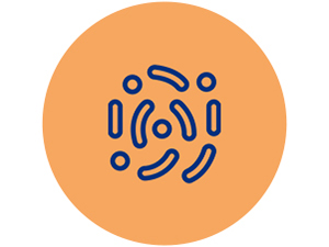 NewRhythm Men's Probiotics contains prebiotic fibers and 8 key digestive enzymes