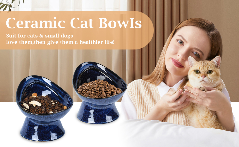 cat ceramic bowl