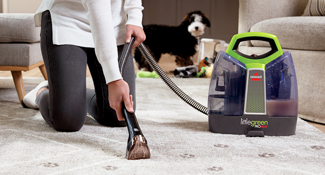 LITTLE GREEN PET PRO FORMULA