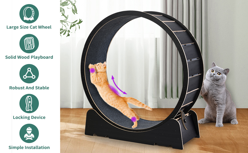 cat wheels for indoor cats