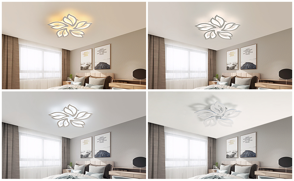 living room ceiling light