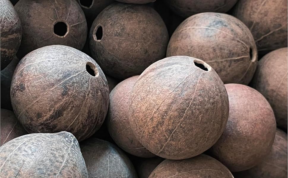 木の実 Amazon | カスタム | アサラト 木の実*30pc | 良質球体 | DIY