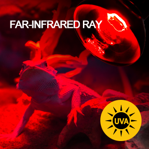 reptile heat lamp bulb