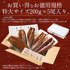 九州産うなぎ蒲焼 1kg（頭なしの形の良い限定品！100g×10尾）冷凍便 九州産うなぎ蒲焼1㎏（頭なしの形の良い限定品！）冷凍便