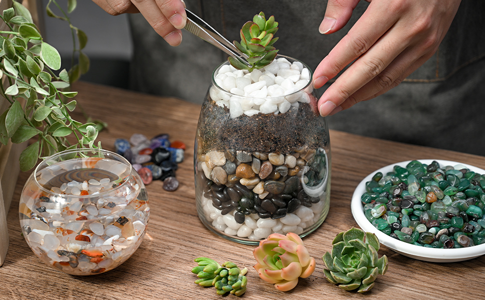 Natural River Rocks (2 LB), Small Decorative Rock Stones for Succulents Cactus