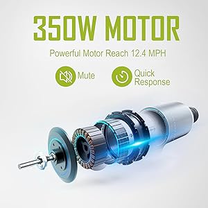 350W motor