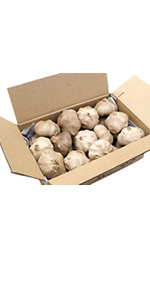 Amazon ちこり村 黒にんにく 訳あり バラ 1kg 農水省 有機jas認証 オーガニック アウトレット 規格外 B級品 ちこり村 にんにく 通販 Amazon ちこり村 黒にんにく 訳あり バラ 1kg 農水省 有機jas認証 オーガニック アウトレット 規格外 B級品 ちこり村 にんにく 通販