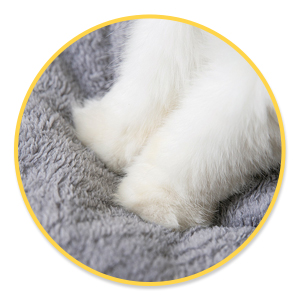 maison lit chien chat amovible lavable promo