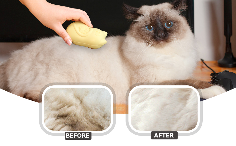 cat steam brush