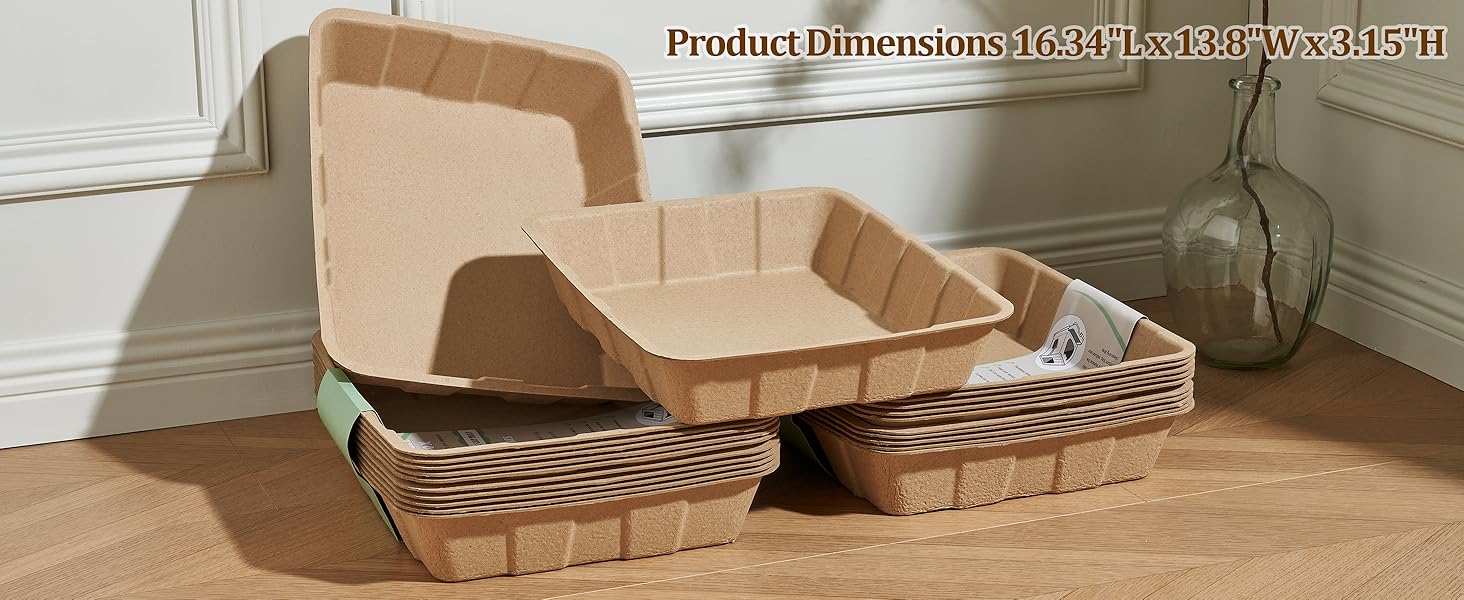 Disposable Litter Boxes for Cats