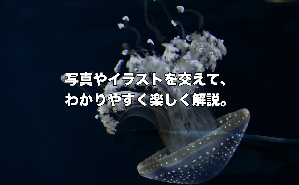 深海のふしぎ 海深くから地球のなぞにせまる (楽しい調べ学習シリーズ) 深海のふしぎ 海深くから地球のなぞにせまる (楽しい調べ学習