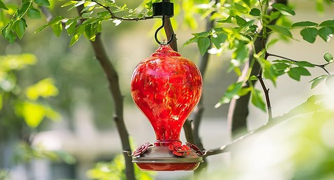 hummingbird feeders for outdoors hanging ant and bee proof