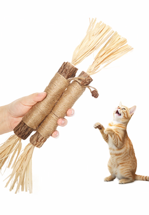 catnip toys