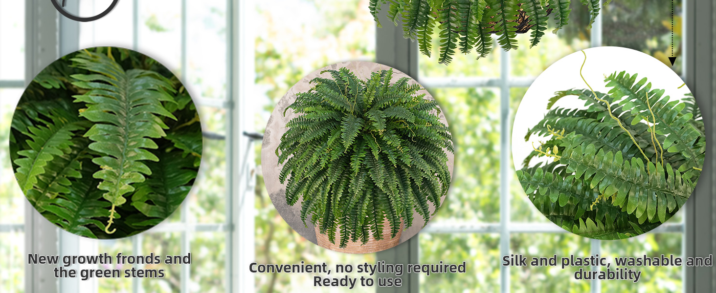 fake ferns