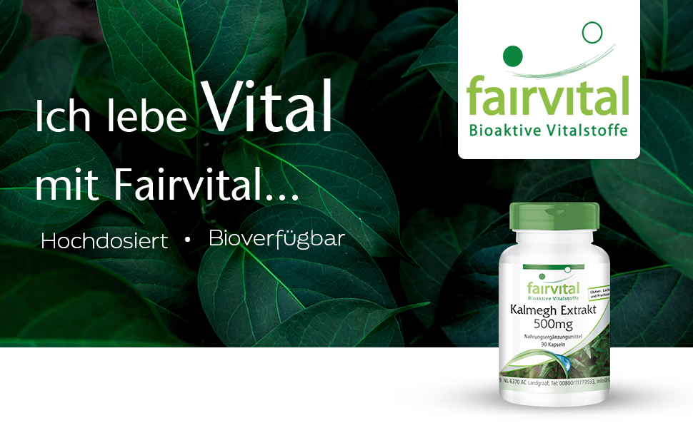 Kalmegh Extrakt 500mg