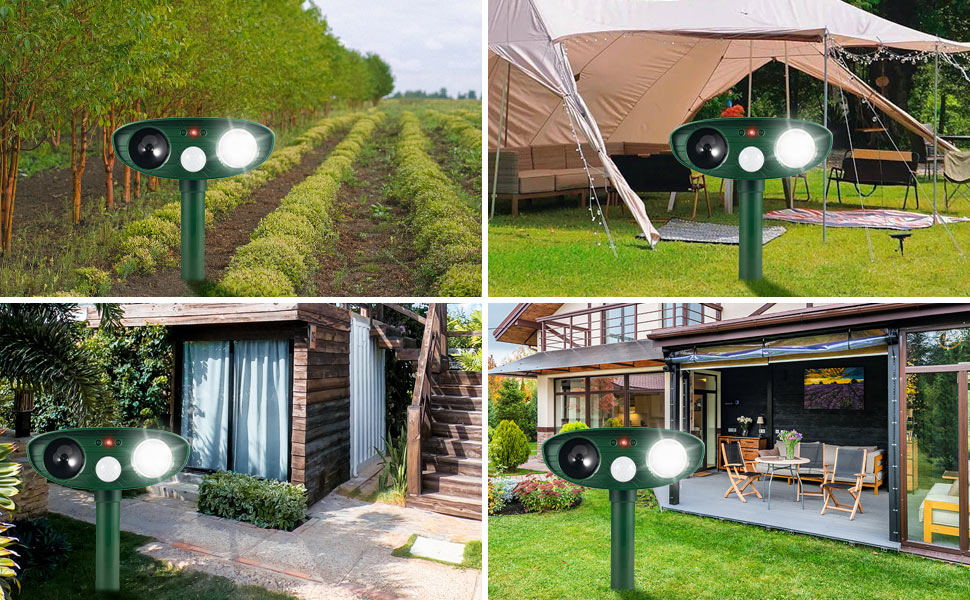 cat deterrent outdoor