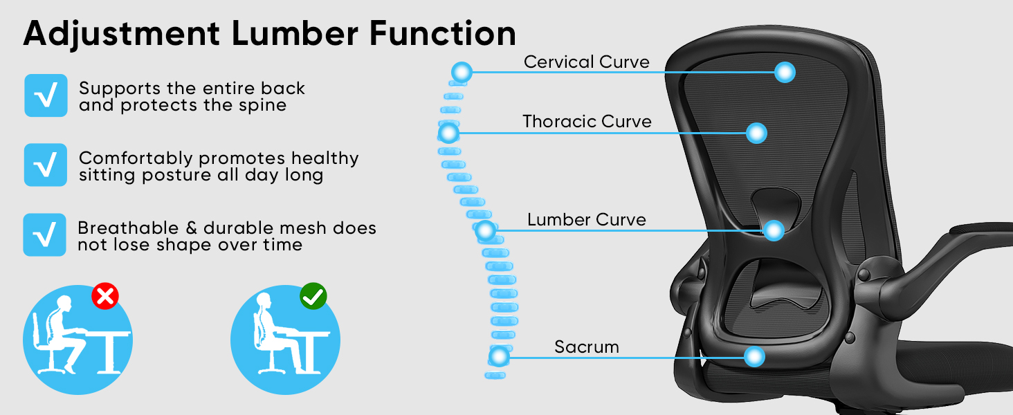 Sytas Ergonomic Desk Chair