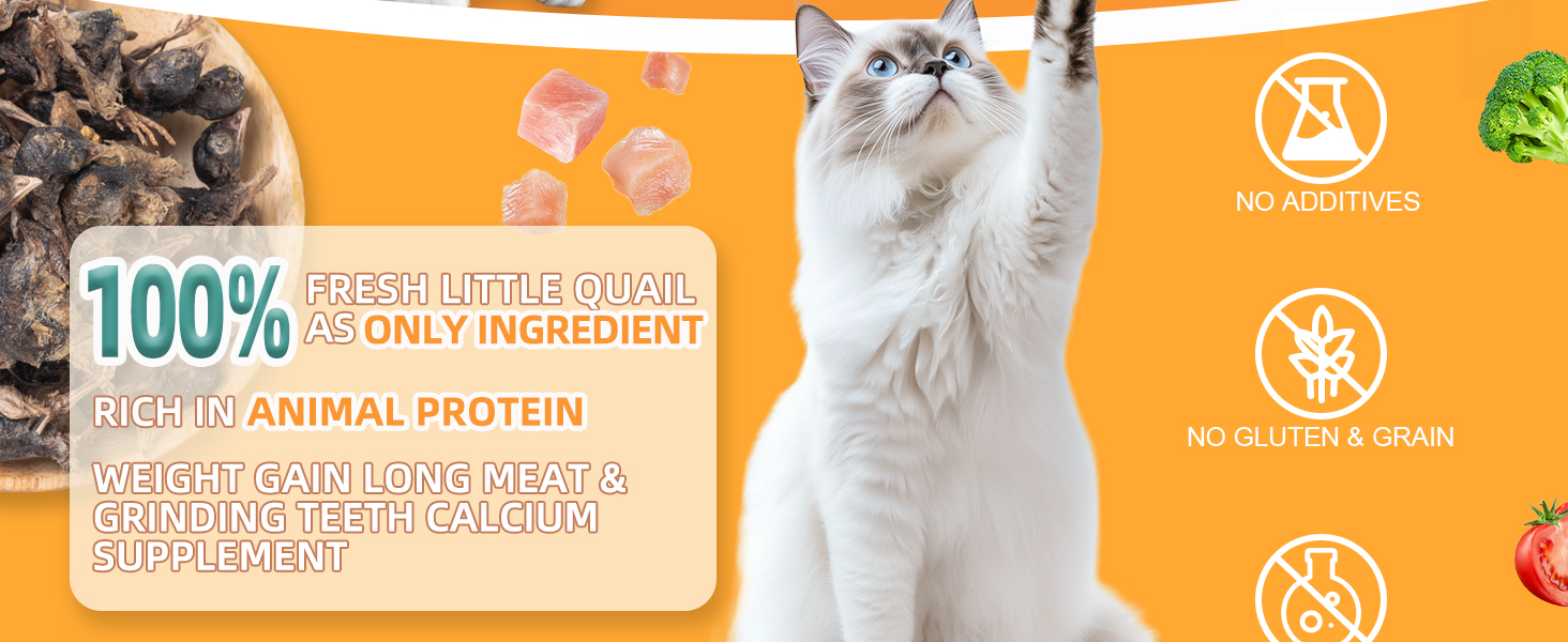 freeze dried dogs treats