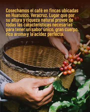 Café de La Parroquia de Veracruz Bolsa de Café en grano molido 