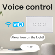 Voice Control