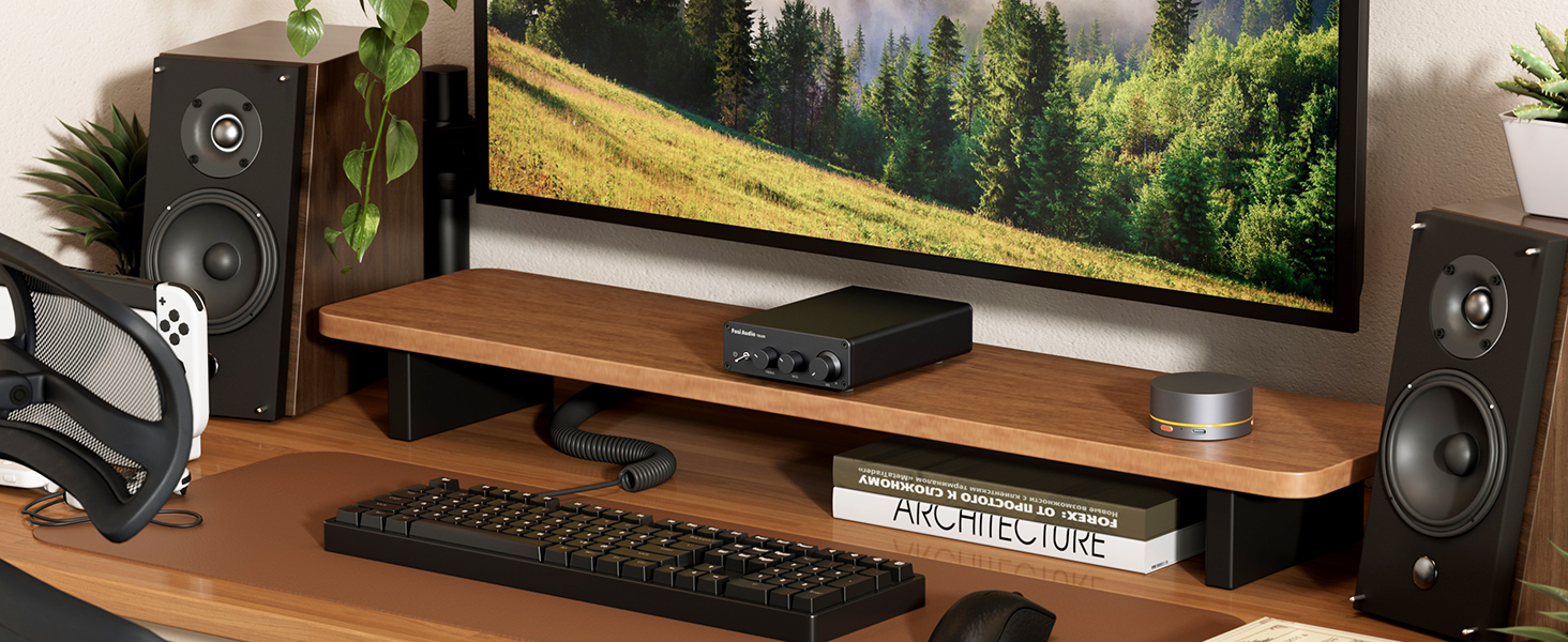 Mini Amplificador de Potencia HiFi