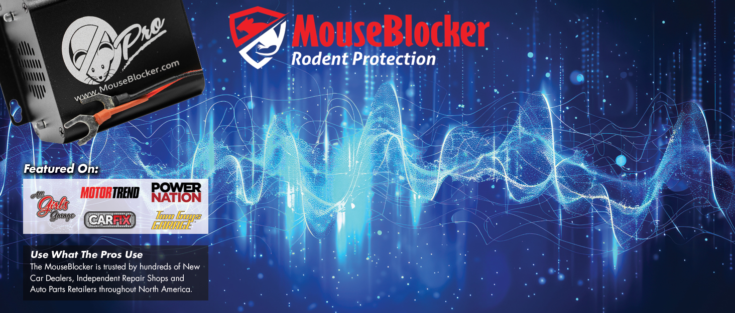 Mouse Blocker Main Background IMage
