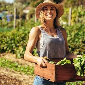 happy gardening experiance fresh spinach celery cilantro beet tomato harvesting cooking good