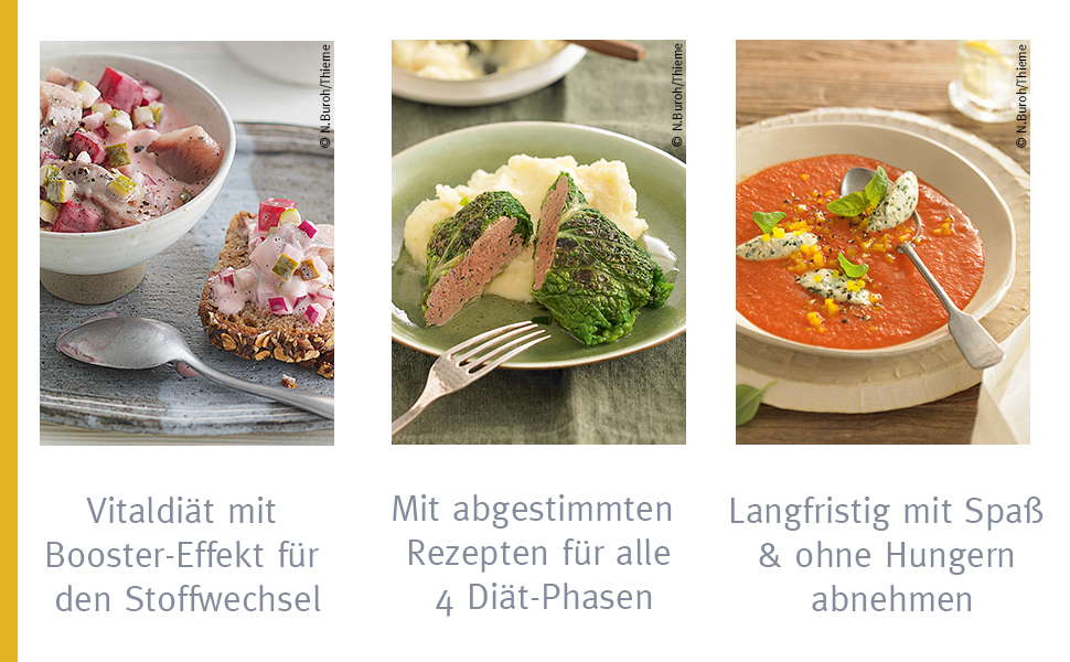 Das Almased-Kochbuch: Über 130 Rezepte: die optimale Ergänzung zum