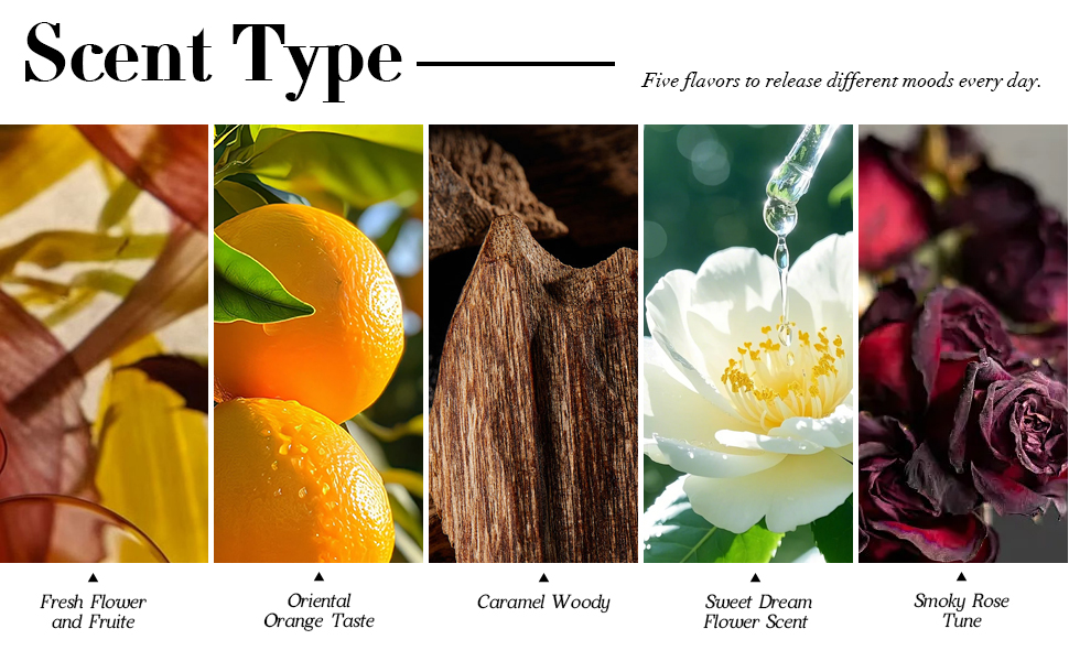  Discover Your Signature Scent – A Fragrance for Every Mood!