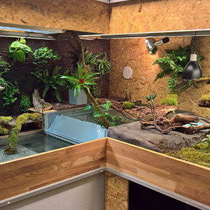 aquarium resin rock shelter