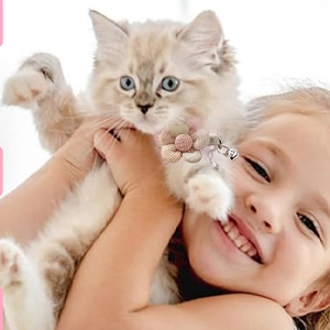 Highlight1C Adjustab