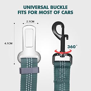 dog seat belt for car