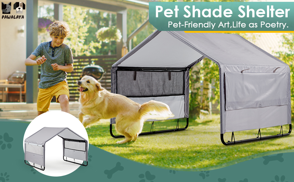 Dog tent