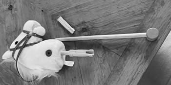 horse stick toy