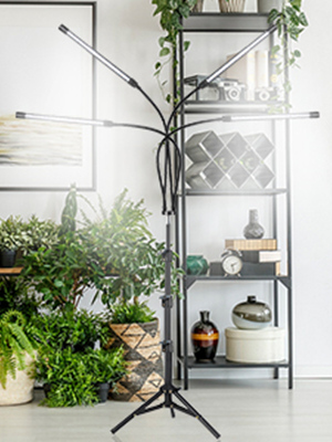 LED植物育成ライト スタンド付き4ヘッド Amazon.co.jp: LED植物育成ライト スタンド付き4ヘッドプラント
