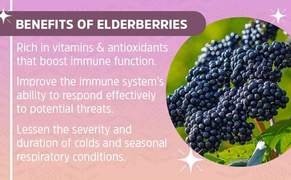 elderberry benefits () elderberry benefits