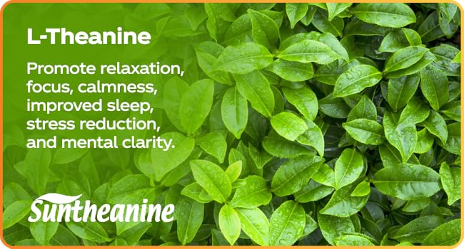 sun theanine relief relax supplement for men and women