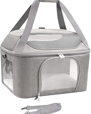 cat carrier