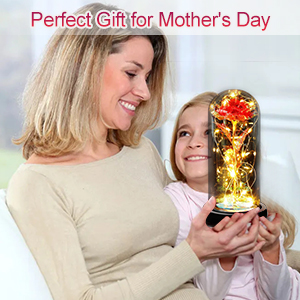 DASIAUTOEM Rose Eternelle sous Cloche, Cadeau Fete des Meres, La Belle et la Bête Rose Eternelle,Rose Dôme en Verre Fleur Artificielle avec LED Lumières Cadeau pour Maman Femme Grand-mère Anniversaire cadeau fete des meres