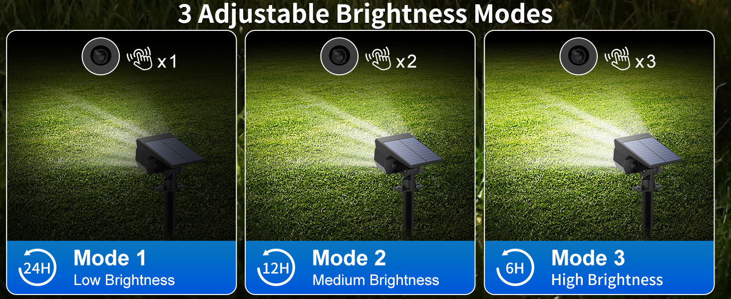 solar lights outdoor