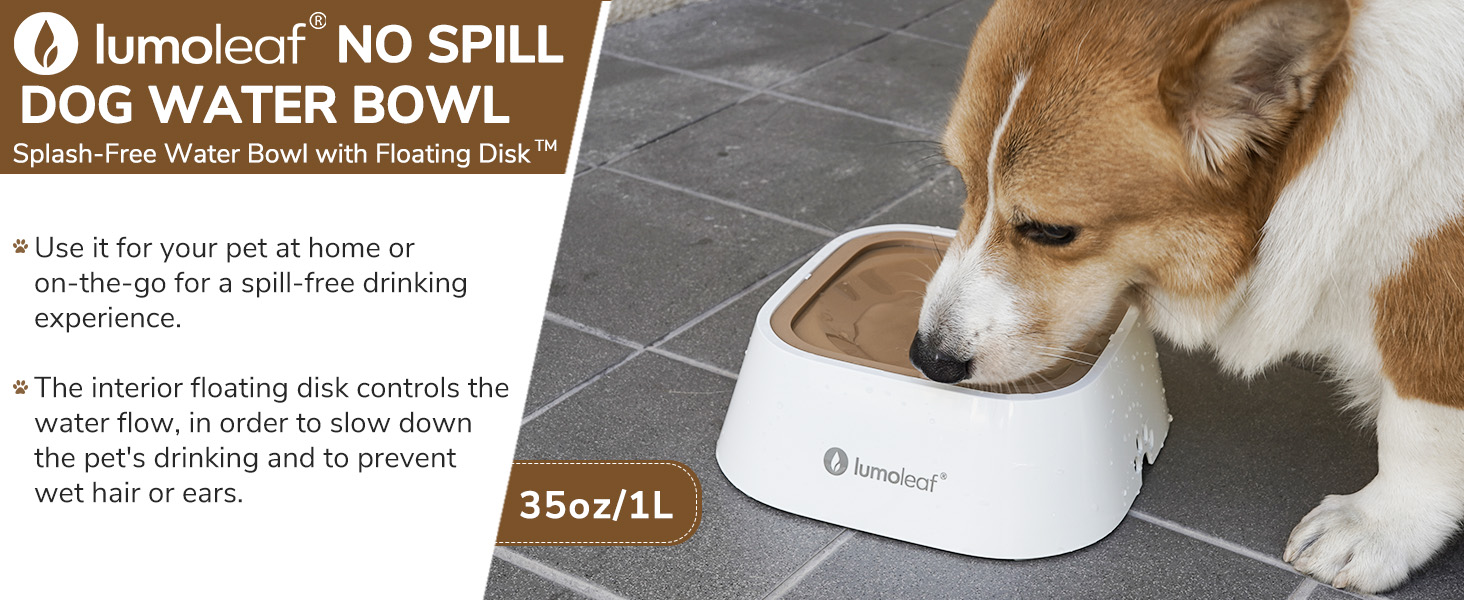 wassernapf für hunde anti spill schwapp wasserspender unterwegs hundenapf hund