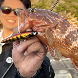 Amazon.co.jp: RUDIE'S（ルーディーズ）魚極ペン（ぎょごくぺん