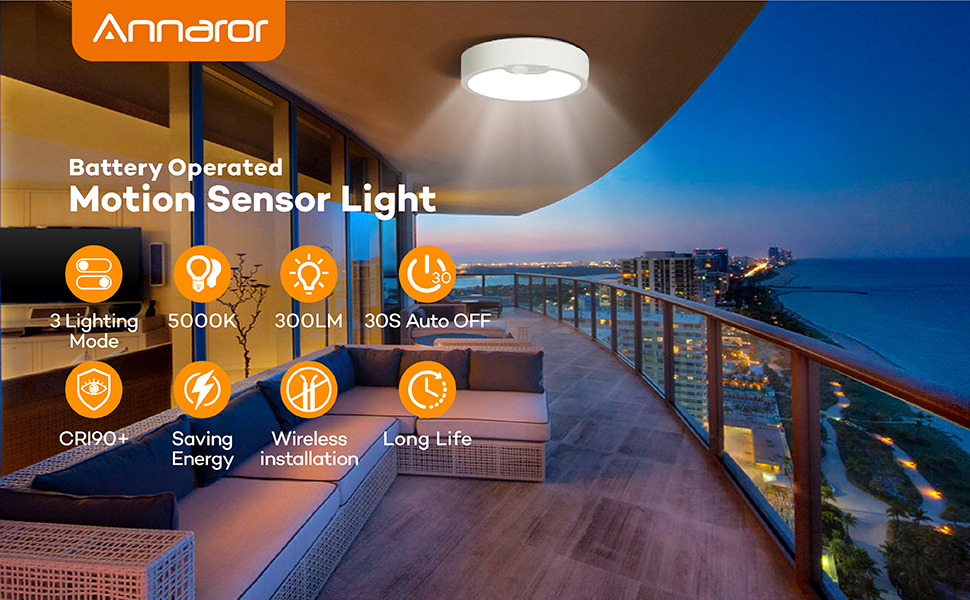  LED Flush Mount ceiling Lighting Fixture motion sensor battery powered round daylight wireless