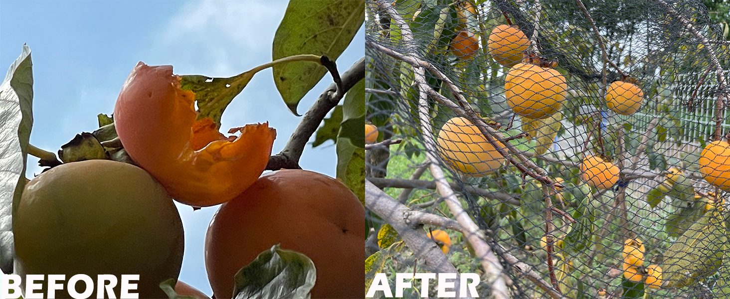 POYEE 30 x 30 FT Bird Netting for Garden Woven Mesh Garden