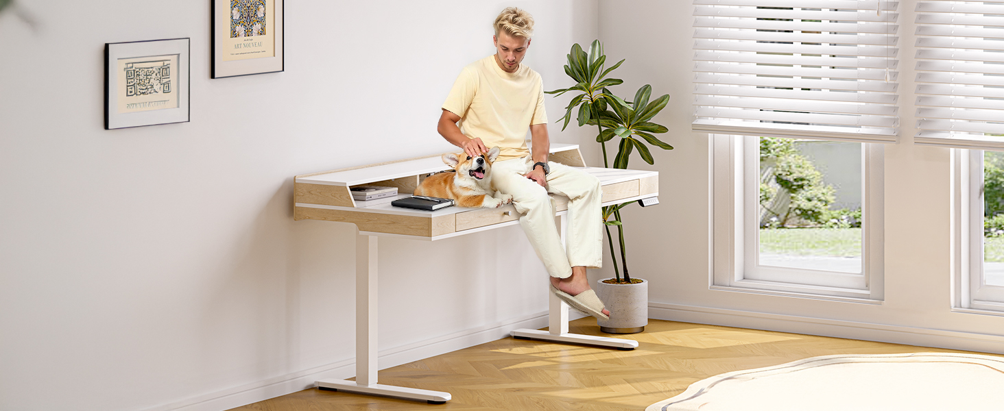 desk