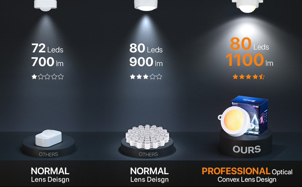 Permanent Outdoor Lights