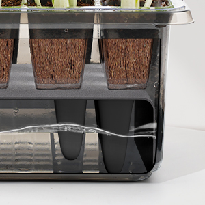 Self-Watering Seed Starter Tray