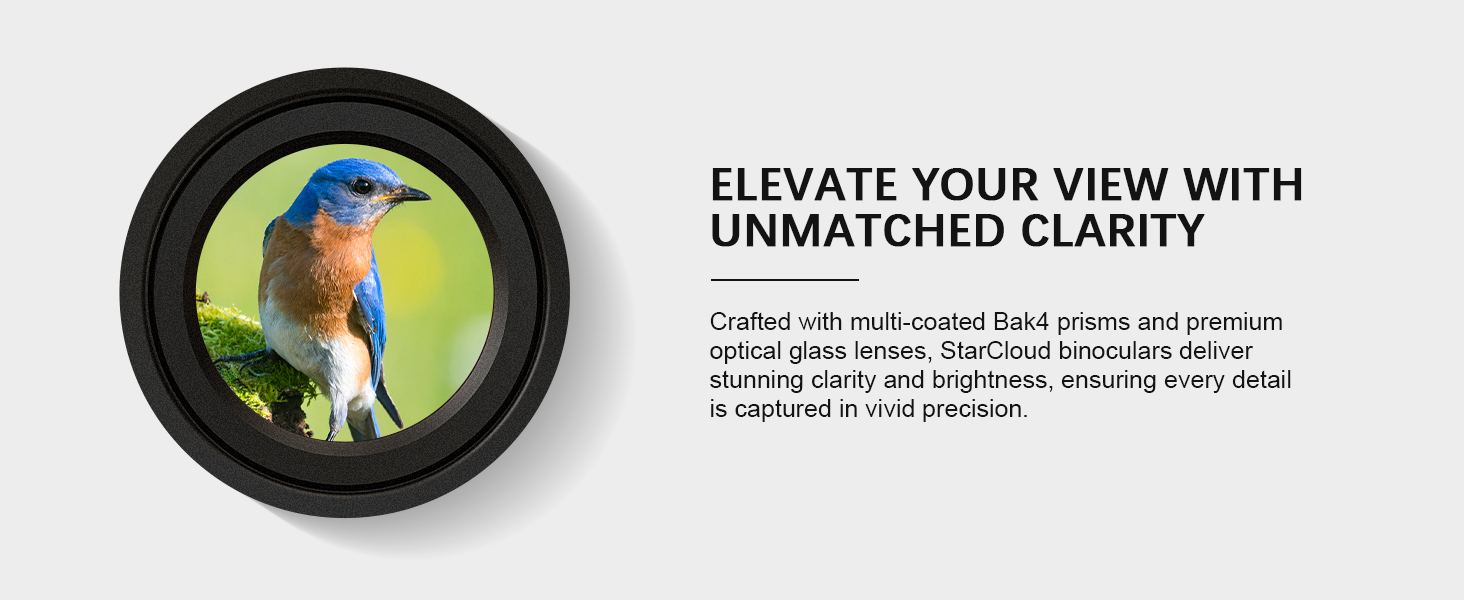 Elevate Your View with Unmatched Clarity